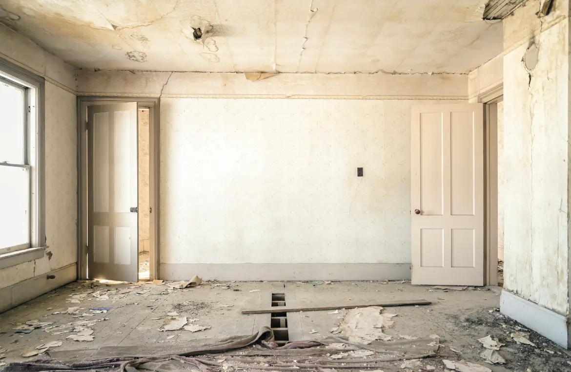 Waste disposal crew managing a cleanout project in Palmview